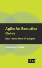 Agile: An Executive Guide : Real Results from IT Budgets - Book