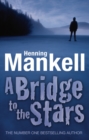 A Bridge to the Stars - eBook