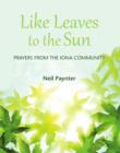 Like Leaves to the Sun - eBook