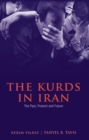 The Kurds in Iran : The Past, Present and Future - eBook