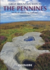 Great Mountain Days in the Pennines : 50 classic hillwalking routes - eBook