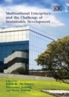 Multinational Enterprises and the Challenge of Sustainable Development - eBook