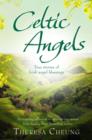 Celtic Angels : True stories of Irish Angel Blessings - Book
