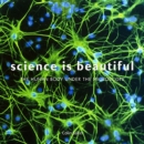Science is Beautiful: The Human Body : Under the Microscope - Book