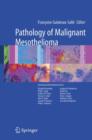 Pathology of Malignant Mesothelioma - Book