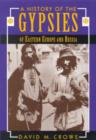 A History of the Gypsies of Eastern Europe and Russia - Book