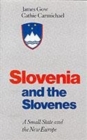 Slovenia and the Slovenes - Book