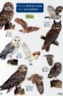 Guide to British Owls and Owl Pellets - Book