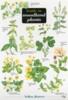 Guide to Woodland Plants - Book