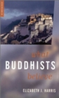What Buddhists Believe - Book