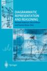 Diagrammatic Representation and Reasoning - Book