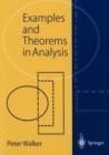Examples and Theorems in Analysis - Book