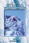 Winter Climbs in the Cairngorms : The Cairngorms and Creag Meagaidh - Book