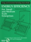 Energy Efficiency for Small and Medium Enterprises - Book