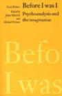Before I was I : Psychoanalysis and the Imagination - Book