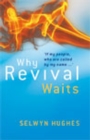 Why Revival Waits - Book