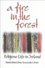 A Fire in the Forest - Book