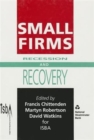 Small Firms : Recession and Recovery - Book