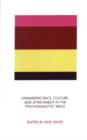 Unmasking Race, Culture, and Attachment in the Psychoanalytic Space - Book