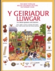 Geiriadur Lliwgar, Y - Book