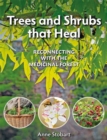 Trees and Shrubs that Heal : Reconnecting With The Medicinal Forest - Book