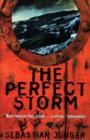 The Perfect Storm : A True Story of Man Against the Sea - Book