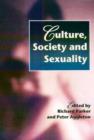 Culture, Society And Sexuality : A Reader - Book