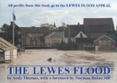 The Lewes Flood - Book