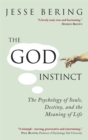 The God Instinct : The Psychology of Souls, Destiny and the Meaning of Life - Book