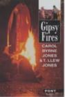 Gipsy Fires - Book
