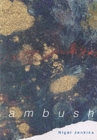 Ambush - Book