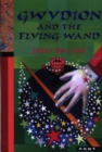 Gwydion and the Flying Wand - Book