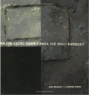 Can the Celtic Tiger Cross the Irish Border? - Book
