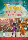 Arwyr Ancora: Casglu'r Trysorau - Book
