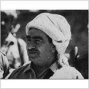 Kurds and Identity Politics - Book