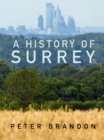 A History of Surrey - Book