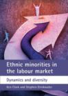 Ethnic minorities in the labour market : Dynamics and diversity - Book