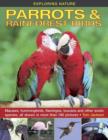 Exploring Nature: Parrots & Rainforest Birds - Book