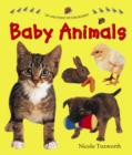 Say and Point Picture Boards: Baby Animals - Book