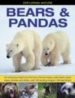 Exploring Nature: Bears & Pandas : An Intriguing Insight into the Lives of Brown Bears, Polar Bears, Black Bears, Pandas and Others, with 190 Exciting Images - Book