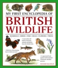 My First Encyclopedia of British Wildlife : Mammals, Birds, Fish, Bugs, Flowers, Trees - Book