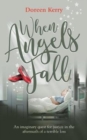 When Angels Fall : An imaginary quest for justice in the aftermath of a terrible loss - Book
