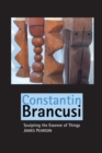 Constantin Brancusi : Sculpting the Essence of Things - Book