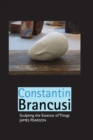 Constantin Brancusi : Sculpting the Essence of Things - Book