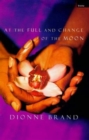 At the Full and Change of the Moon - Book