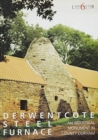 Derwentcote Steel Furnace : An Industrial monument in County Durham - Book