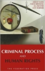 Criminal Process and Human Rights - Book