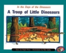 A Troop of Little Dinosaurs - Book