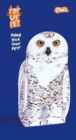 Pop Up Pet Owl : Make your own 3D card pet! - Book