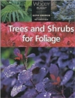 Trees and Shrubs for Foliage - Book
